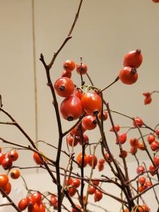 赤｜「花里」　（神奈川県逗子市の花キューピット加盟店 花屋）のブログ