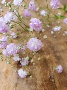 ピンク｜「花里」　（神奈川県逗子市の花キューピット加盟店 花屋）のブログ