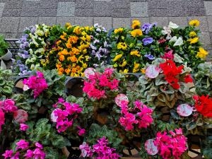 冬支度｜「花里」　（神奈川県逗子市の花キューピット加盟店 花屋）のブログ