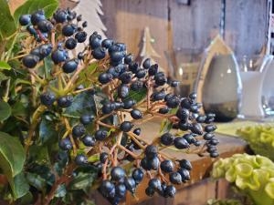 冬の足音｜「花里」　（神奈川県逗子市の花キューピット加盟店 花屋）のブログ