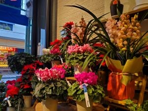 ギフトシーズンのはじまり｜「花里」　（神奈川県逗子市の花キューピット加盟店 花屋）のブログ
