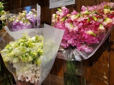冬の匂い｜「花里」　（神奈川県逗子市の花キューピット加盟店 花屋）のブログ