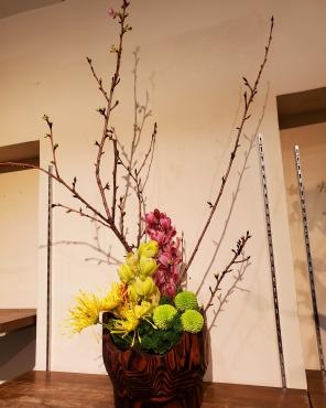 小正月｜「花里」　（神奈川県逗子市の花キューピット加盟店 花屋）のブログ