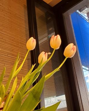 空を目指す｜「花里」　（神奈川県逗子市の花キューピット加盟店 花屋）のブログ