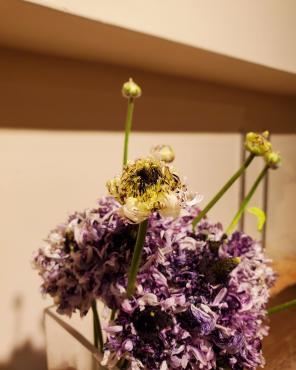 ひと月｜「花里」　（神奈川県逗子市の花キューピット加盟店 花屋）のブログ