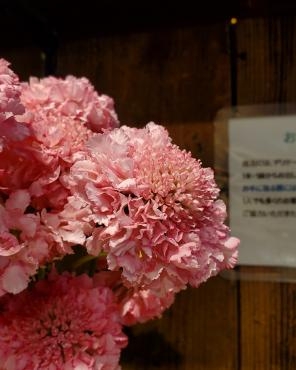 春｜「花里」　（神奈川県逗子市の花キューピット加盟店 花屋）のブログ