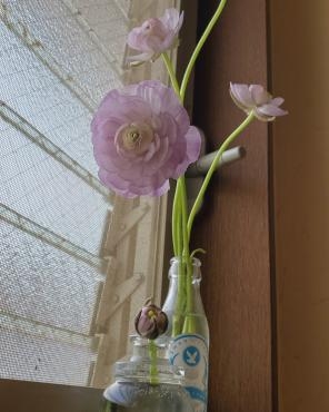 蕾も愛して｜「花里」　（神奈川県逗子市の花キューピット加盟店 花屋）のブログ