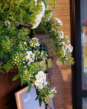 名残雪｜「花里」　（神奈川県逗子市の花キューピット加盟店 花屋）のブログ