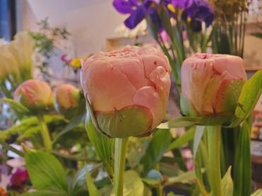 カタチ｜「花里」　（神奈川県逗子市の花キューピット加盟店 花屋）のブログ