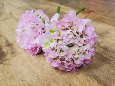 表と裏｜「花里」　（神奈川県逗子市の花キューピット加盟店 花屋）のブログ