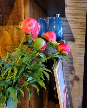 初夏｜「花里」　（神奈川県逗子市の花キューピット加盟店 花屋）のブログ