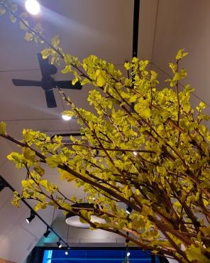 新緑｜「花里」　（神奈川県逗子市の花キューピット加盟店 花屋）のブログ