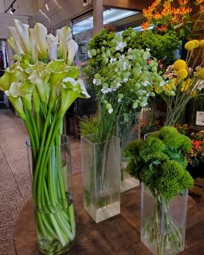 春のグリーン 花屋ブログ 神奈川県逗子市の花屋 花里にフラワーギフトはお任せください 当店は 安心と信頼の花キューピット加盟店です 花キューピットタウン