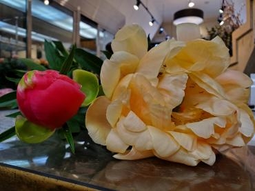 色変わり｜「花里」　（神奈川県逗子市の花キューピット加盟店 花屋）のブログ
