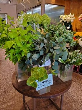 緑｜「花里」　（神奈川県逗子市の花キューピット加盟店 花屋）のブログ