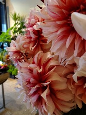真夏の一瞬｜「花里」　（神奈川県逗子市の花キューピット加盟店 花屋）のブログ