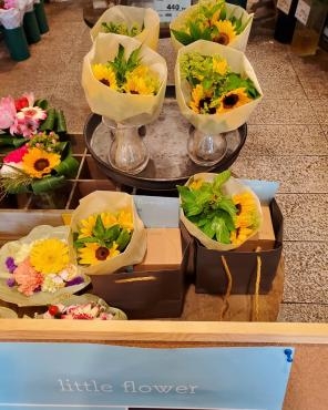 ワンコイン！｜「花里」　（神奈川県逗子市の花キューピット加盟店 花屋）のブログ