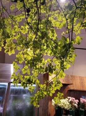 緑｜「花里」　（神奈川県逗子市の花キューピット加盟店 花屋）のブログ