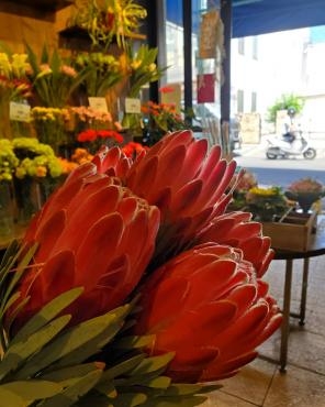 南国生まれ 花屋ブログ 神奈川県逗子市の花屋 花里にフラワーギフトはお任せください 当店は 安心と信頼の花キューピット加盟店です 花キューピットタウン