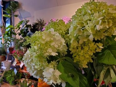 もくもく｜「花里」　（神奈川県逗子市の花キューピット加盟店 花屋）のブログ