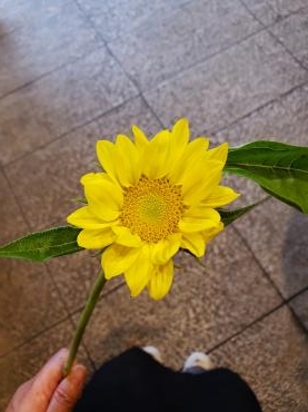 花と海｜「花里」　（神奈川県逗子市の花キューピット加盟店 花屋）のブログ