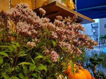 秋の香り｜「花里」　（神奈川県逗子市の花キューピット加盟店 花屋）のブログ