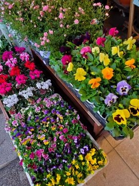 冬支度｜「花里」　（神奈川県逗子市の花キューピット加盟店 花屋）のブログ