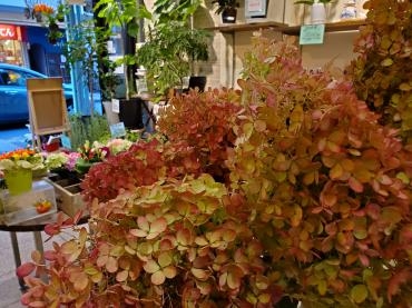 もくもく｜「花里」　（神奈川県逗子市の花キューピット加盟店 花屋）のブログ
