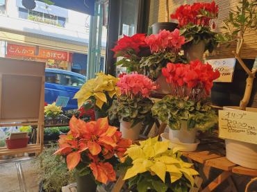 初！｜「花里」　（神奈川県逗子市の花キューピット加盟店 花屋）のブログ