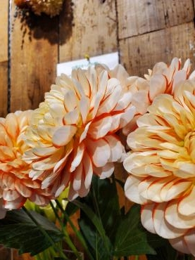 オレンジ｜「花里」　（神奈川県逗子市の花キューピット加盟店 花屋）のブログ