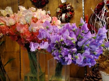 春が来た｜「花里」　（神奈川県逗子市の花キューピット加盟店 花屋）のブログ