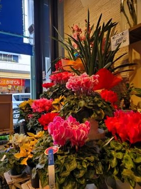 シーズン開始｜「花里」　（神奈川県逗子市の花キューピット加盟店 花屋）のブログ
