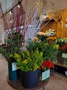 クリスマス｜「花里」　（神奈川県逗子市の花キューピット加盟店 花屋）のブログ