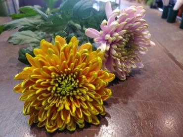 ニュアンス｜「花里」　（神奈川県逗子市の花キューピット加盟店 花屋）のブログ