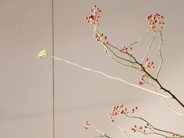 生命力｜「花里」　（神奈川県逗子市の花キューピット加盟店 花屋）のブログ