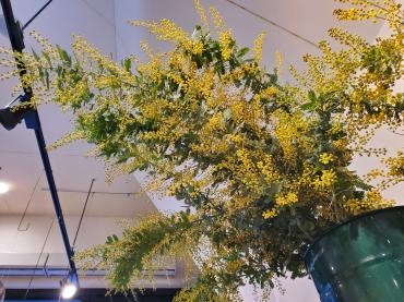 樹の下で｜「花里」　（神奈川県逗子市の花キューピット加盟店 花屋）のブログ
