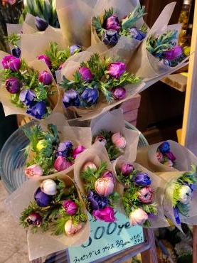 ワンコインで春｜「花里」　（神奈川県逗子市の花キューピット加盟店 花屋）のブログ