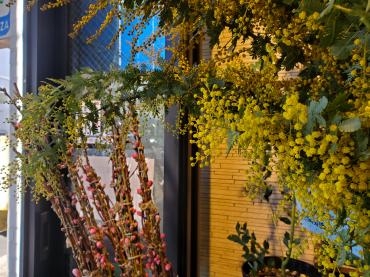 桃の日ミモザの日｜「花里」　（神奈川県逗子市の花キューピット加盟店 花屋）のブログ