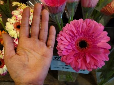 大！｜「花里」　（神奈川県逗子市の花キューピット加盟店 花屋）のブログ