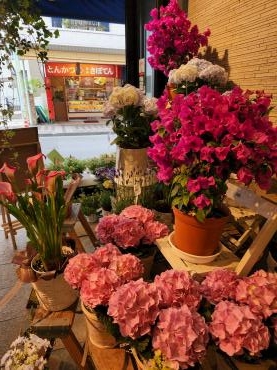 母の日の準備｜「花里」　（神奈川県逗子市の花キューピット加盟店 花屋）のブログ