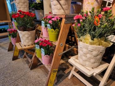 準備は万端！｜「花里」　（神奈川県逗子市の花キューピット加盟店 花屋）のブログ
