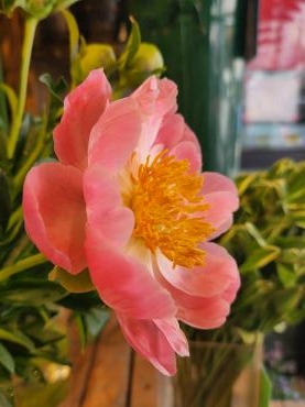 綺麗｜「花里」　（神奈川県逗子市の花キューピット加盟店 花屋）のブログ