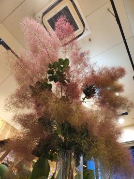 もくもく｜「花里」　（神奈川県逗子市の花キューピット加盟店 花屋）のブログ