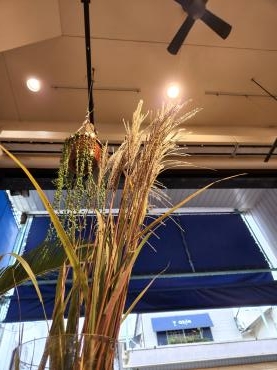 十三夜｜「花里」　（神奈川県逗子市の花キューピット加盟店 花屋）のブログ