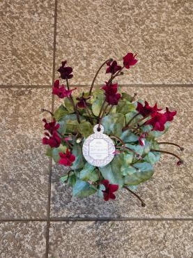 気まま｜「花里」　（神奈川県逗子市の花キューピット加盟店 花屋）のブログ