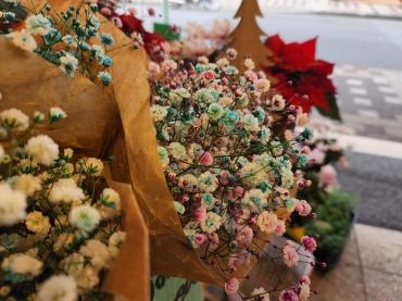 ファンシー｜「花里」　（神奈川県逗子市の花キューピット加盟店 花屋）のブログ