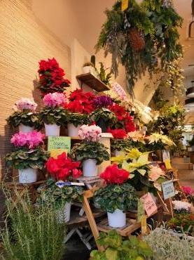 きらきら｜「花里」　（神奈川県逗子市の花キューピット加盟店 花屋）のブログ