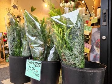 販売始めました！｜「花里」　（神奈川県逗子市の花キューピット加盟店 花屋）のブログ