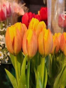 冬と春｜「花里」　（神奈川県逗子市の花キューピット加盟店 花屋）のブログ