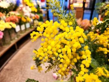 春って｜「花里」　（神奈川県逗子市の花キューピット加盟店 花屋）のブログ